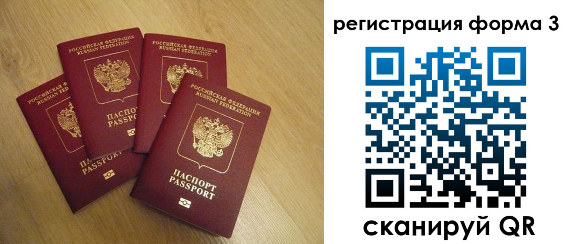 прописка для школы в Невеле